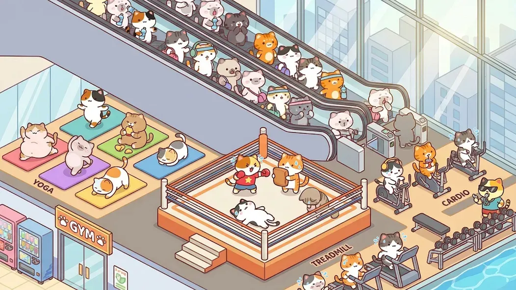 키티 짐 - 아이들 캣 게임 screenshot 1