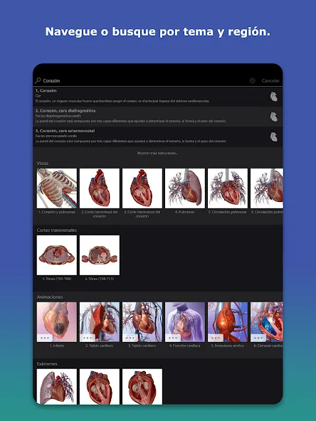 Atlas de anatomía humana 2026 screenshot 9