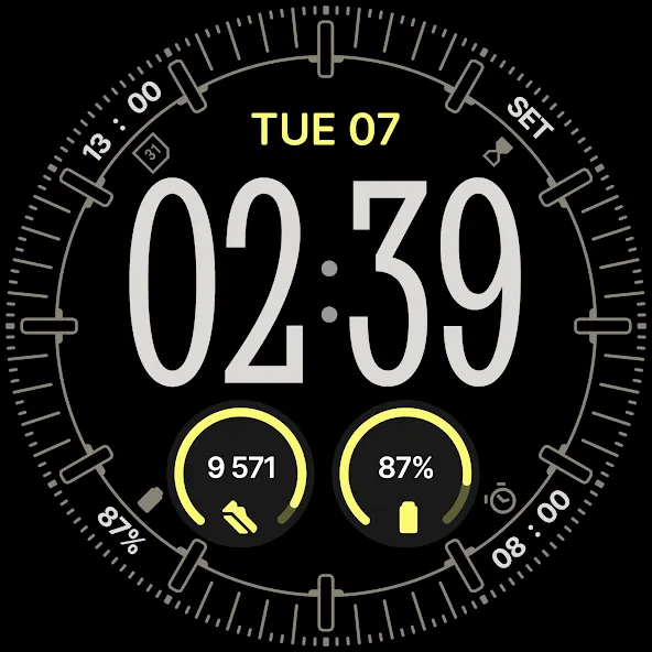 Omnis Digital Watch Face screenshot 39
