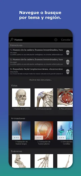 Atlas de anatomía humana 2026 screenshot 4