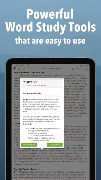 Message Bible by Olive Tree screenshot 13