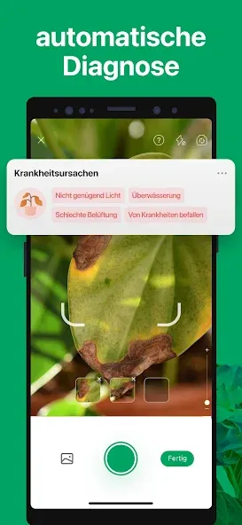 PictureThis:Pflanzen bestimmen screenshot 4