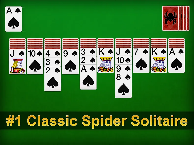 Spider Solitaire screenshot 8