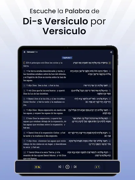 Estudiar Biblia Hebrea: Salmos screenshot 12