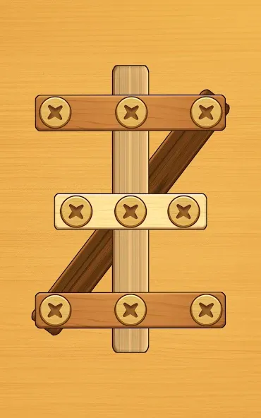 Screw Puzzle: Wood Nut & Bolt™ screenshot 18
