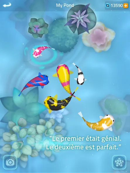 Zen Koi 2 screenshot 13
