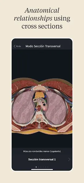 Complete Anatomy - Learn in 3D screenshot 8