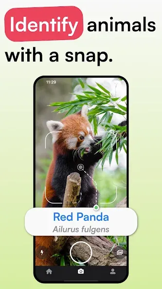 Animal Identifier - iSpecies screenshot 1