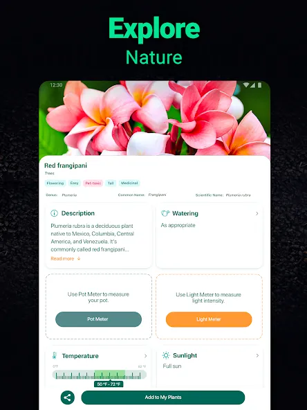 Plantum - Plant Identifier screenshot 12