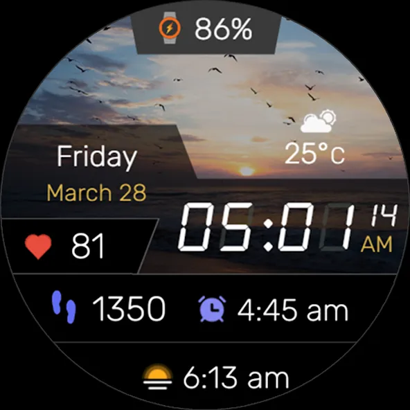 Digitec Pro Watch Face Wear OS screenshot 30