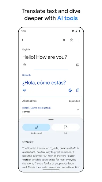 Google Translate screenshot 1
