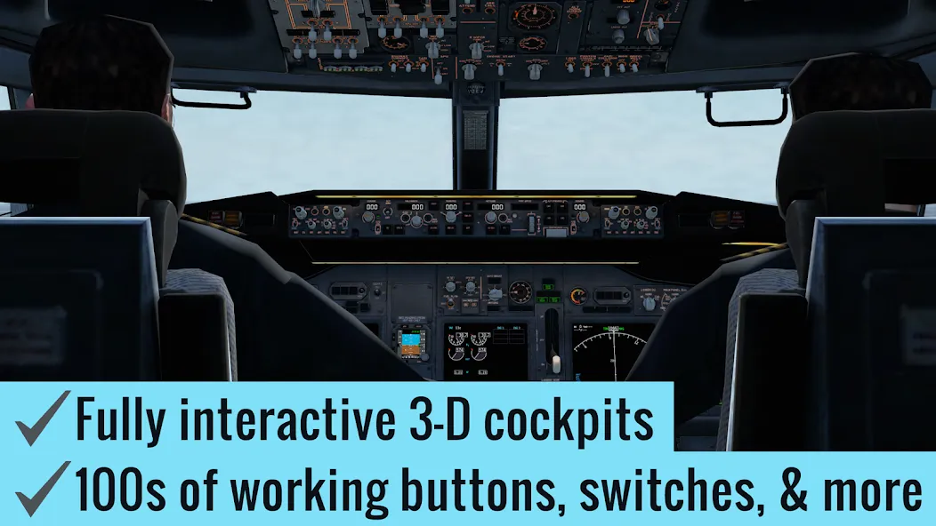 X-Plane Flight Simulator screenshot 2