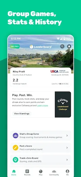 Leaderboard Golf screenshot 1