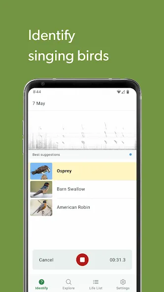 Merlin Bird ID by Cornell Lab screenshot 4