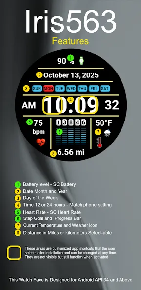 Iris563 Multi-Function Digital screenshot 6