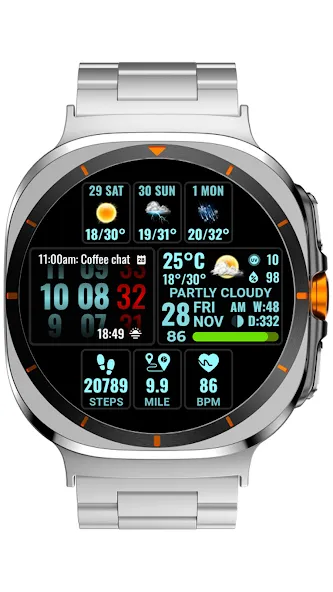 Weather hours and days NTV600 screenshot 14