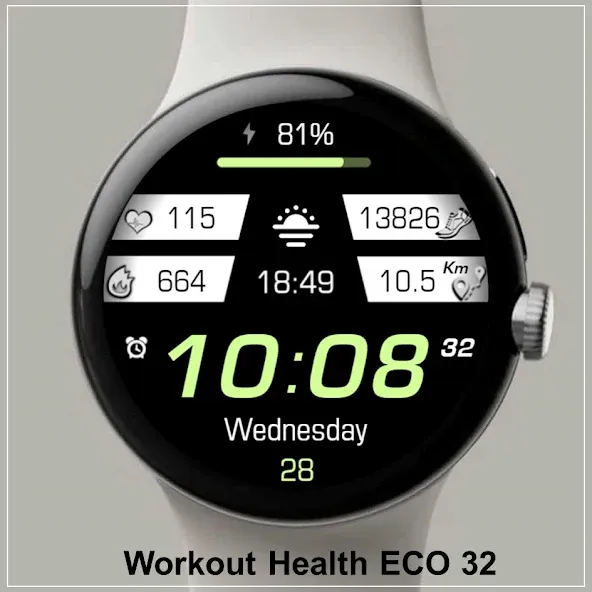 Colorful Fitness Tracker 33 screenshot 5