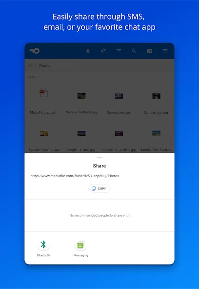 MediaFire screenshot 9
