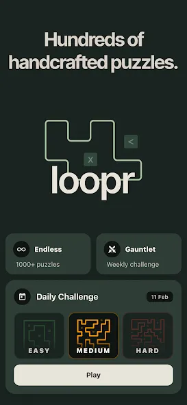 loopr: Yajilin Logic Puzzles screenshot 4