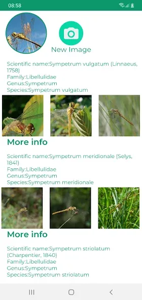 Insektenidentifikator screenshot 10