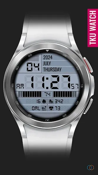 TkuWatch S014 Retro Watch Face screenshot 3