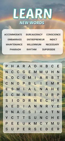 Word Search Explorer screenshot 3