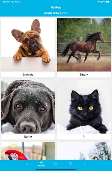 PetPage screenshot 10