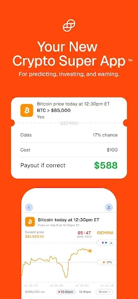 Gemini Markets & Credit Card screenshot 1