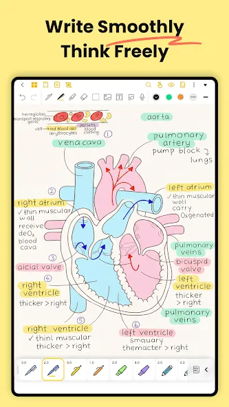 Jnotes: AI Note-taking & PDF screenshot 2