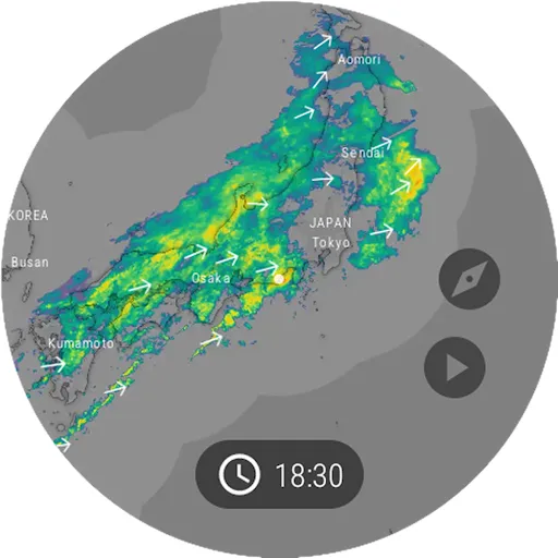 Windy.com - 天気予報 screenshot 16