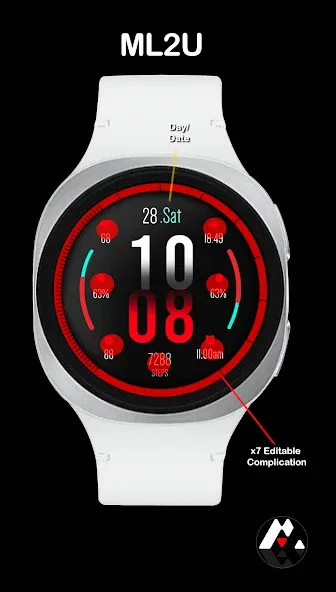 ML2U 399 Digital Hybrid screenshot 2