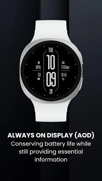EXD202: Modern Vertical Clean screenshot 3
