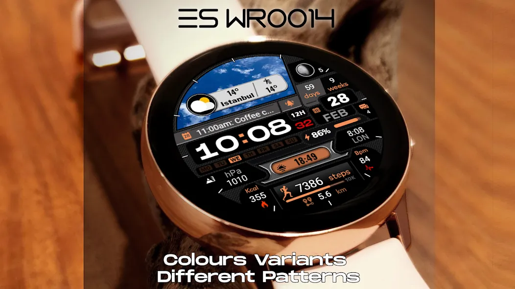 ES WR0014 screenshot 8