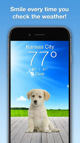 Weather Puppy - App & Widget screenshot 1
