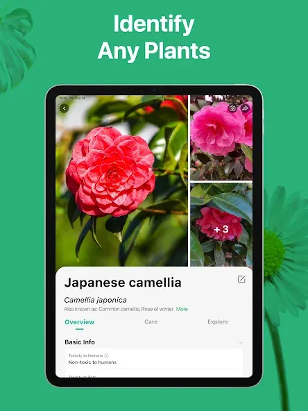 PictureThis - Plant Identifier screenshot 10