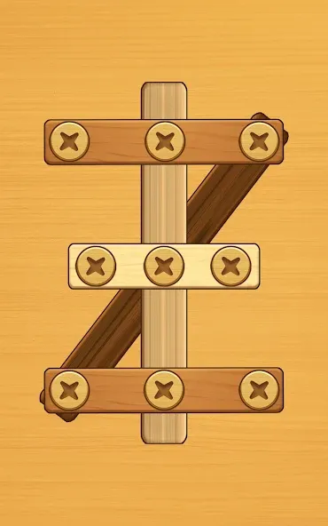 Screw Puzzle: Wood Nut & Bolt™ screenshot 10