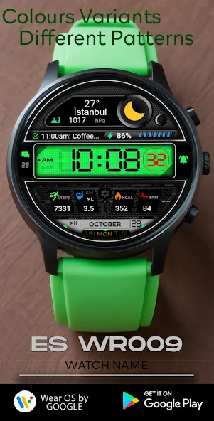 ES WR009 screenshot 3