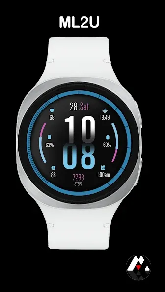 ML2U 399 Digital Hybrid screenshot 3