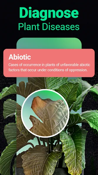 Plantum - Plant Identifier screenshot 2