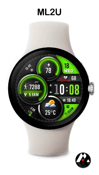 ML2U 271 Watch Face screenshot 4