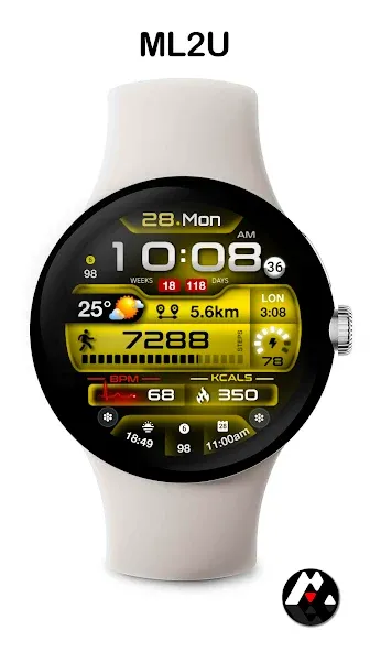 ML2U 247 Watch Face screenshot 5
