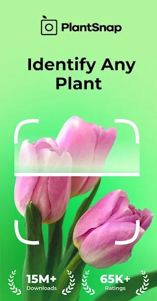 PlantSnap: Plant Identifier screenshot 1