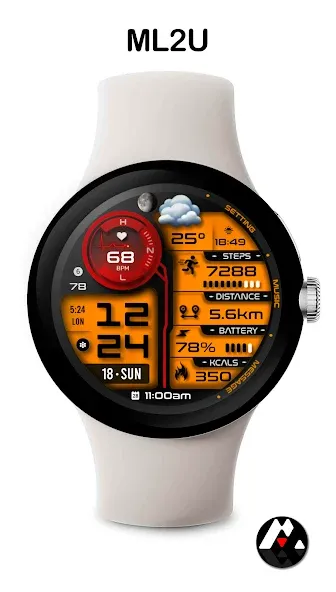 ML2U 263 Watch Face screenshot 5