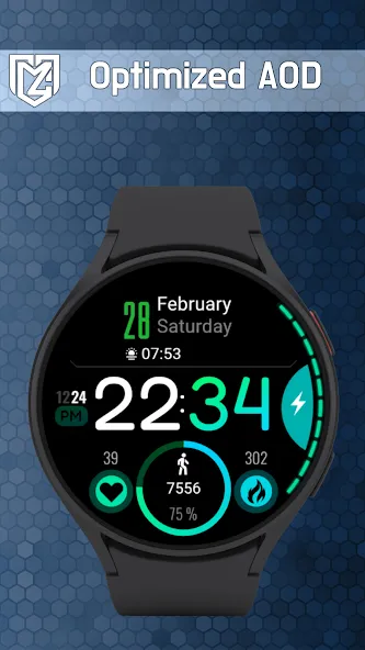 WearOs Amoled Watch Face TMZ screenshot 2