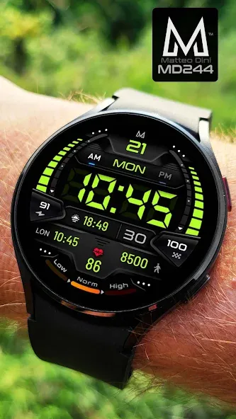 MD244 Digital watch face screenshot 5