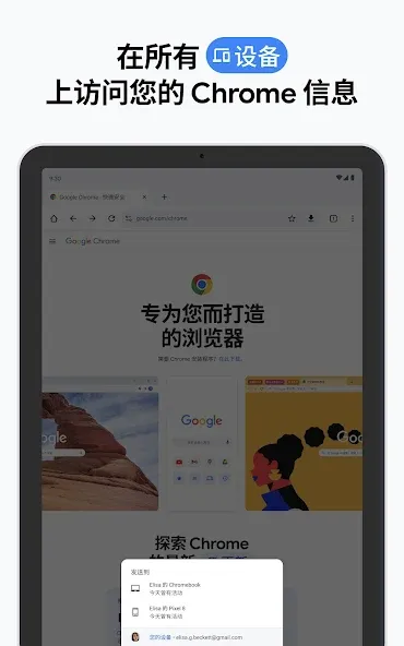 Google Chrome 浏览器 screenshot 21