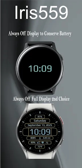 Iris559 Multi-Function Digital screenshot 8