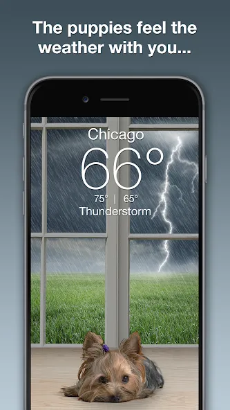 Weather Puppy - App & Widget screenshot 2