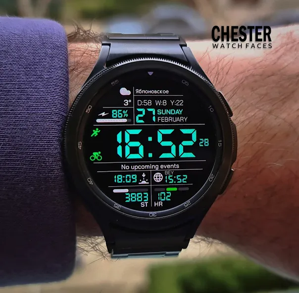 Chester inform LCD screenshot 3
