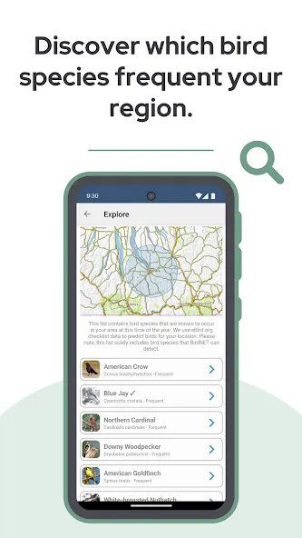 BirdNET screenshot 8